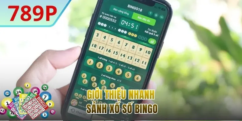 Cơ bản thông tin với cách chơi Bingo hấp dẫn